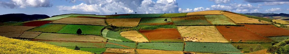 myanmar-classic-tour-claorc6